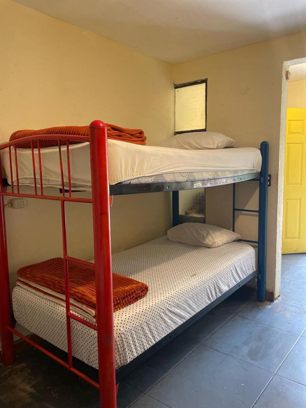 Volko Party Hostel Antigua Rom bilde